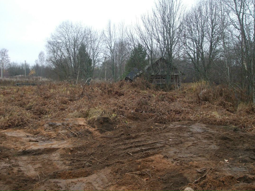 Михаил Андриенко | Санкт-Петербург