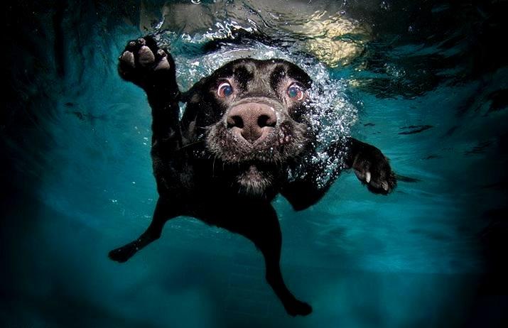 Антоха Коринец | 