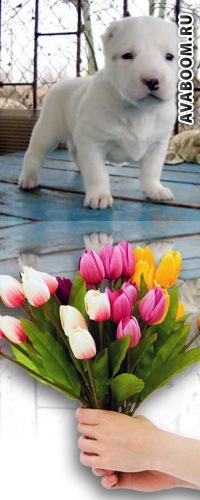 №53, Анастасія Похольченко, Винница №53, Анастасія Похольченко, Винница