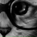 Ирина Боднарчук | 