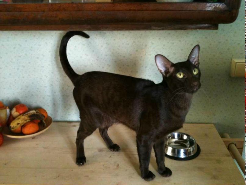 Александр Егоров | Санкт-Петербург