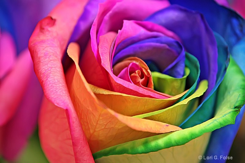 Виктория Концет | Москва