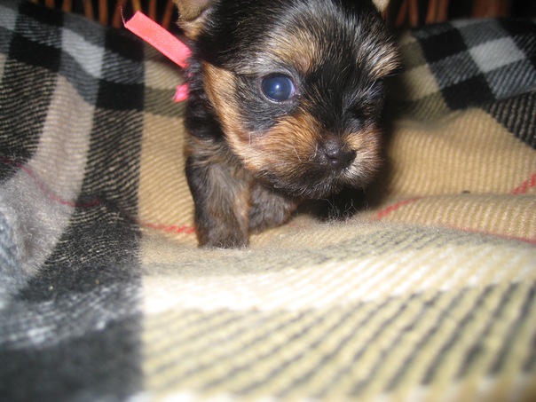 №7, Юлия Липустина, Киев №7, Юлия Липустина, Киев