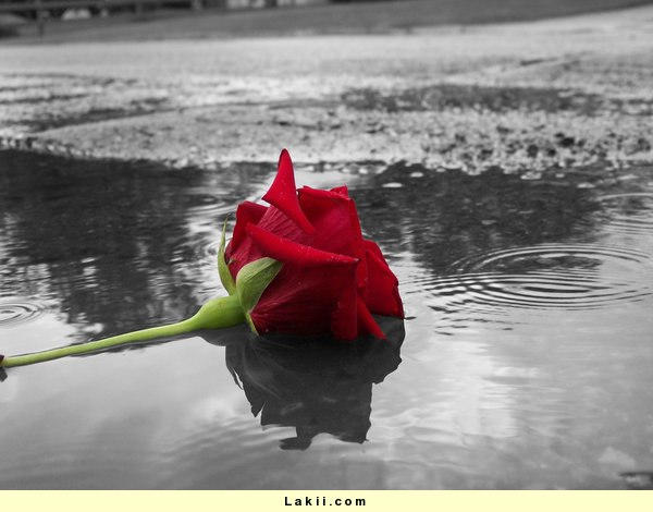 Александр Михайлов | Псков