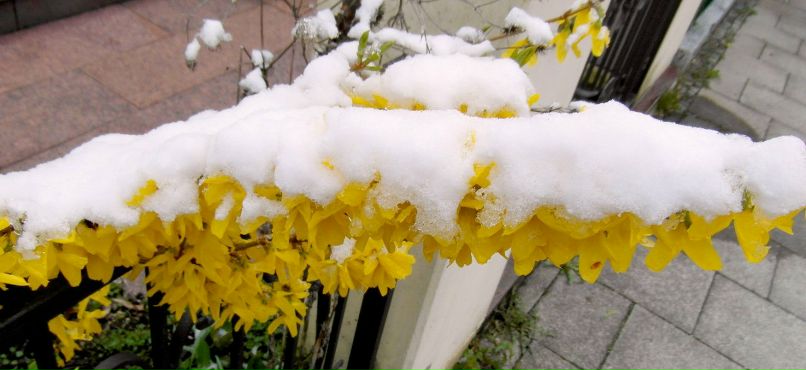 Irina Solovei | Санкт-Петербург