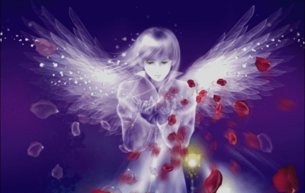 №81, Юлия Шевченко №81, Юлия Шевченко