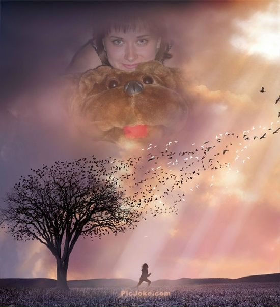 №4, Светлана Спиридонова №4, Светлана Спиридонова