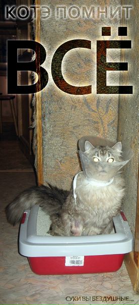 №61, Alexey Krasnichenko, Новосибирск №61, Alexey Krasnichenko, Новосибирск