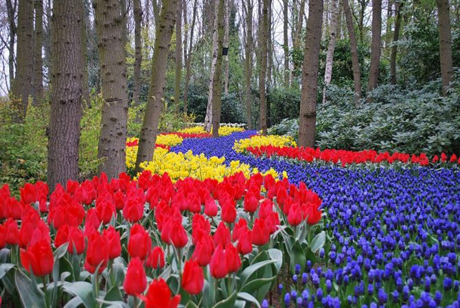 №62, Елена Мештбаева, Москва №62, Елена Мештбаева, Москва