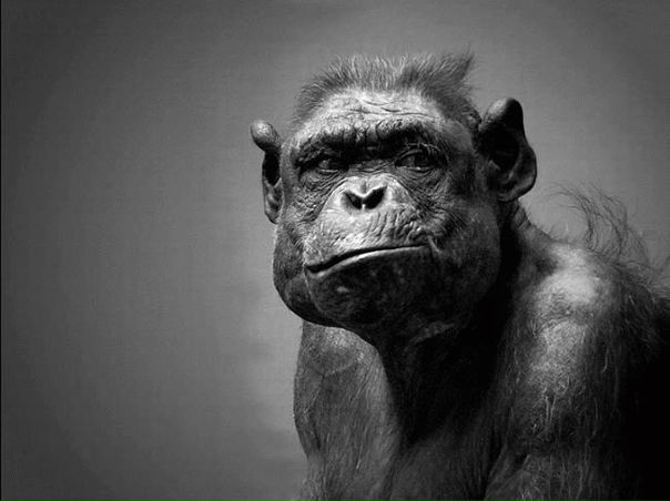 №12, Александр Слюсарев, Ростов-на-Дону №12, Александр Слюсарев, Ростов-на-Дону