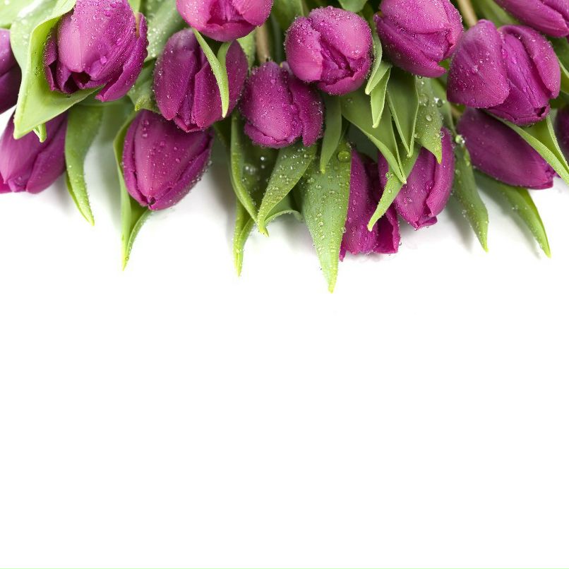 Ирина Армашова | Кемерово