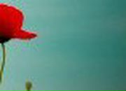 Nadiya Yarema-Chaskovska | Chicago