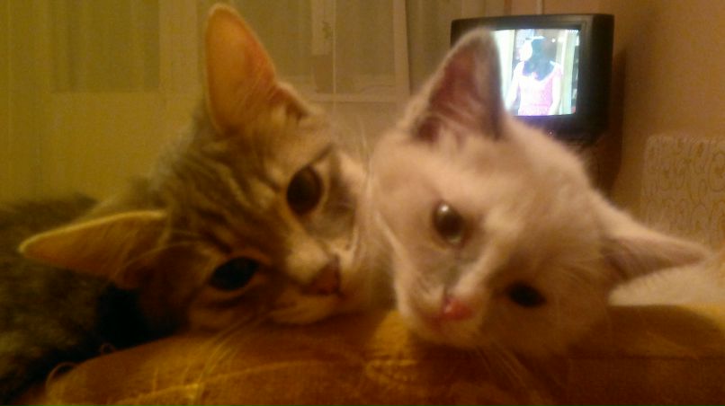 Оля Рубцова | Иркутск