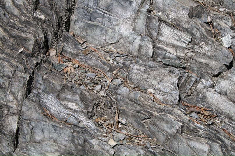 Глоба Малахова | Екатеринбург