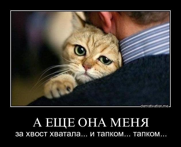 Счастливый Фермер | Екатеринбург