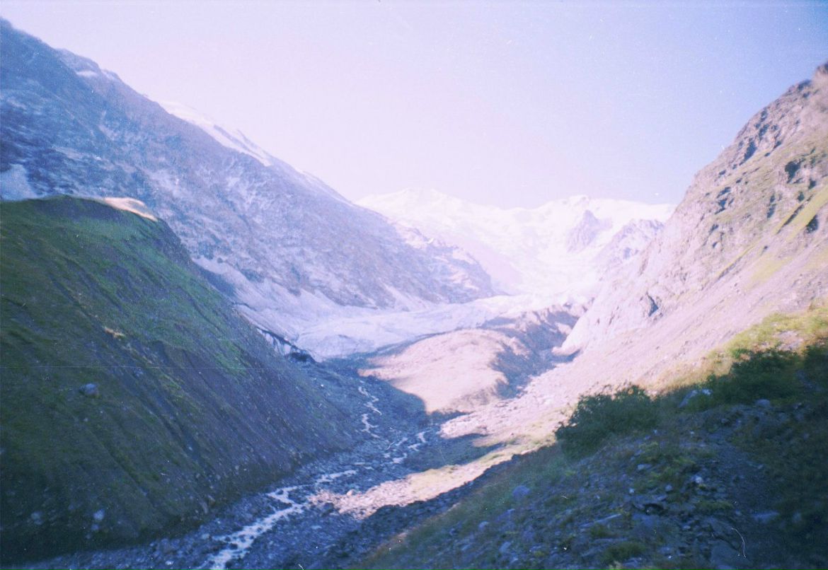 Дмитрий Макаренко | Владикавказ