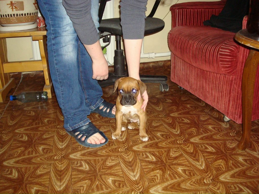 Антон Маняченко ToshA | Киев