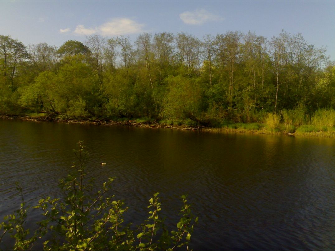 Екатерина Селянина | Сосновый Бор 