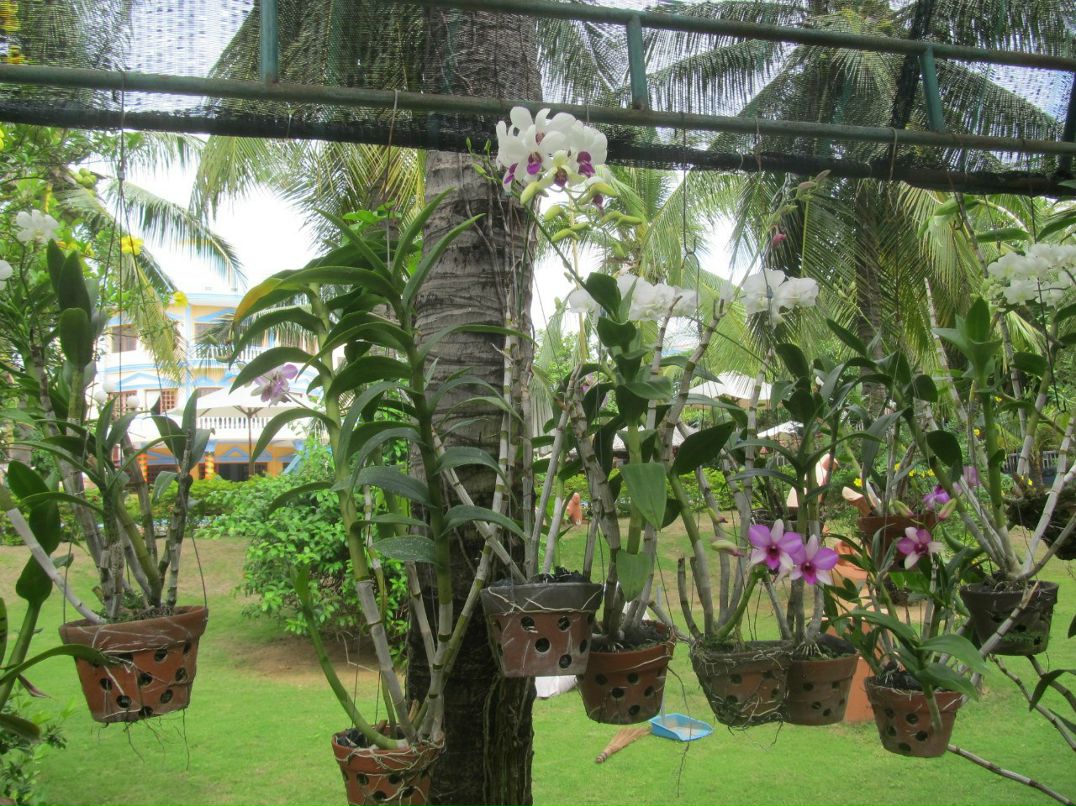 Наталия Пилипенко | Санкт-Петербург