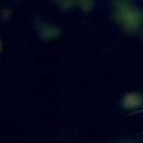 №12, Гаяне Леонова, Москва №12, Гаяне Леонова, Москва