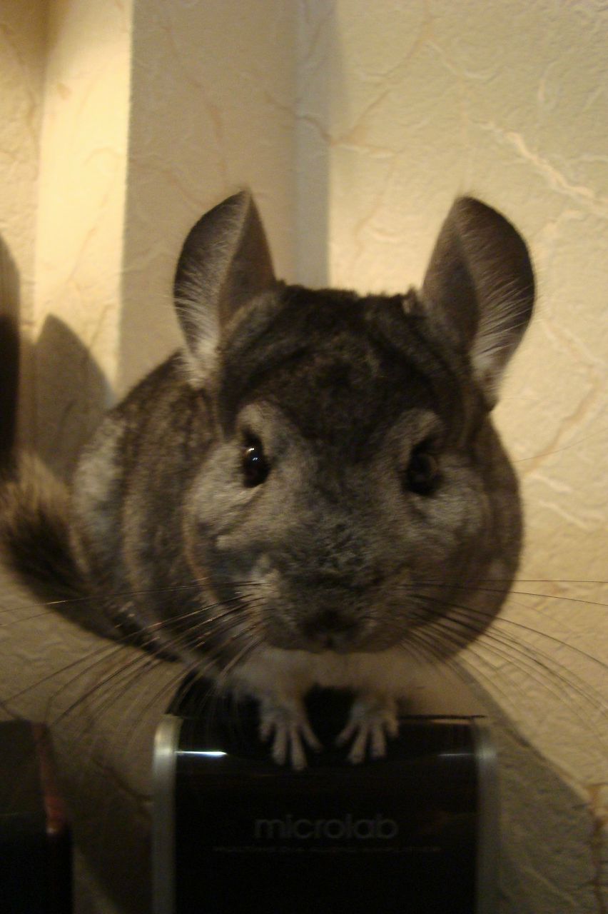 Стас Скорин | Москва