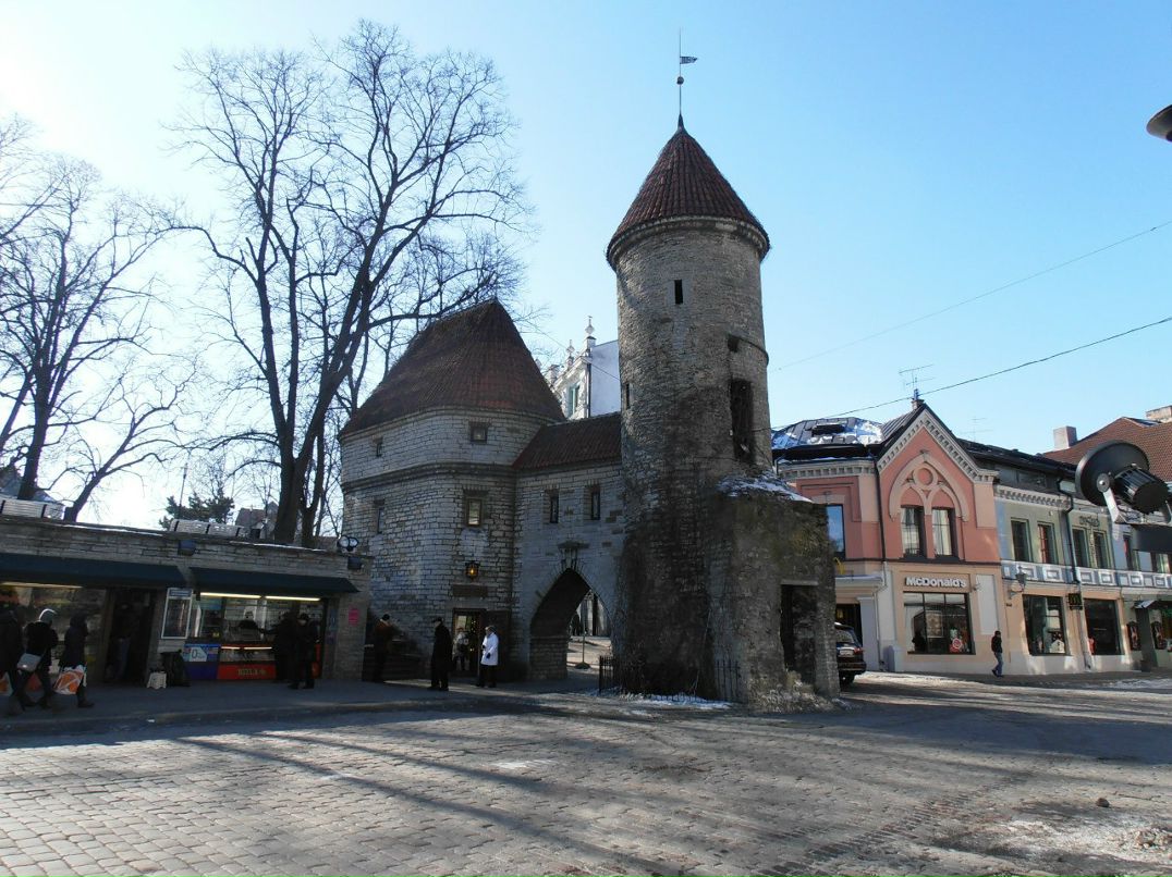 Наталья Кардаш | Минск