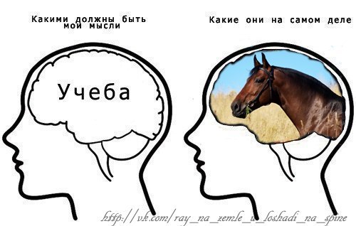 Геля Ru | Москва