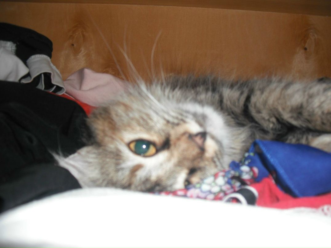 Любовь Попова | Ростов-на-Дону