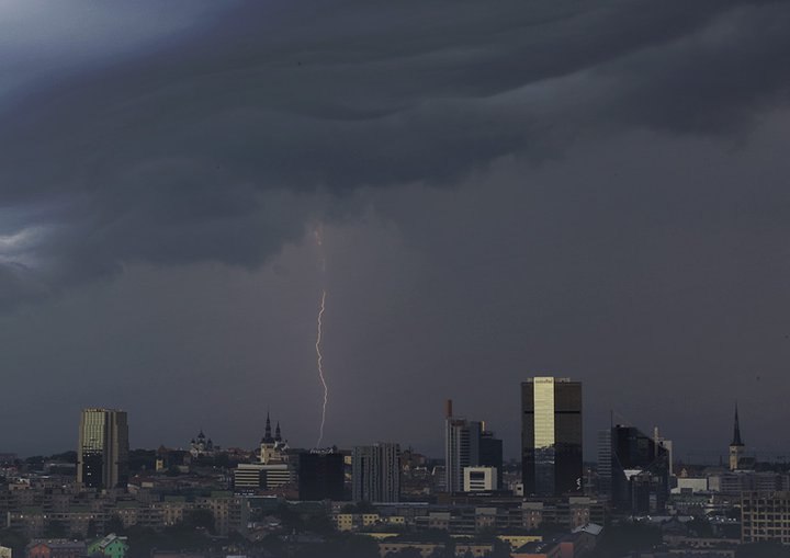 Ольга Лютова | Таллин