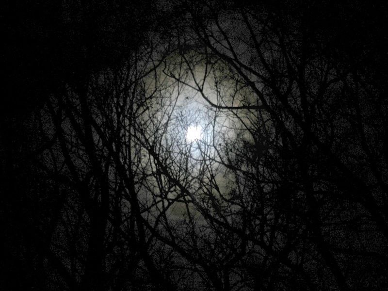 Vodafo Vodafon | Киев