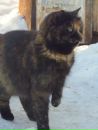 №9 Валентина Говорушкина 11.07: профиль, фото, статус - ВКонтакте