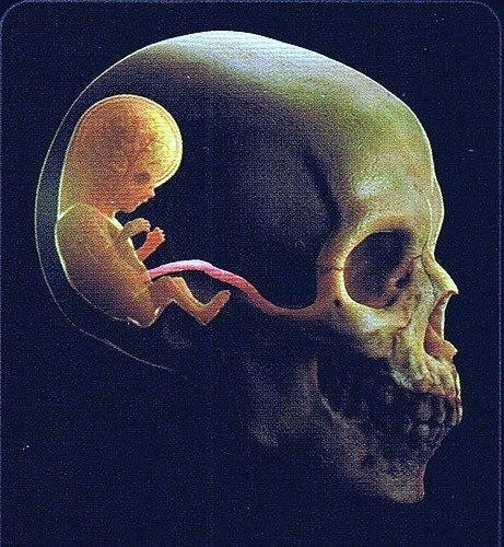 Светик Финогенова | Санкт-Петербург