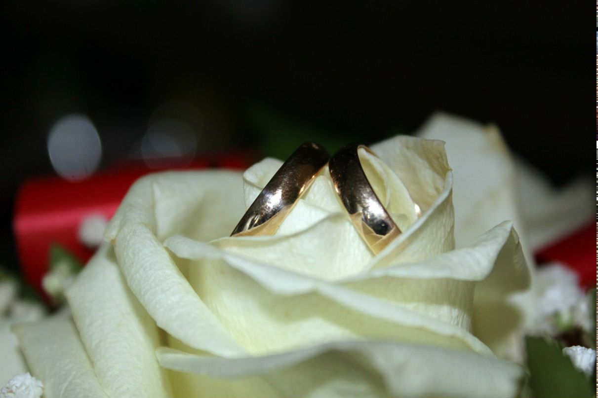 Илья Тулупников | Волгоград