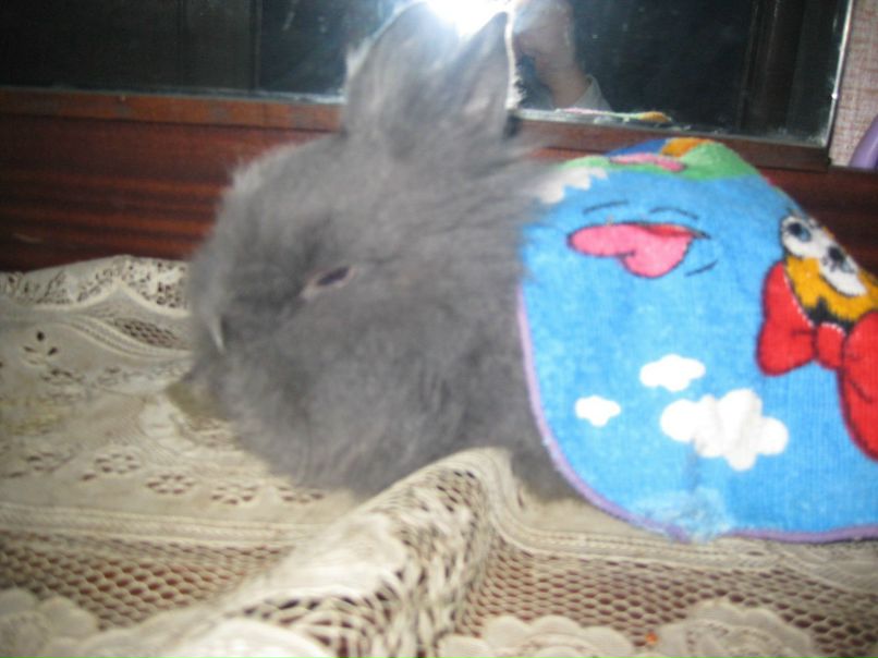 Юлия Пуякина | Москва