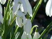 Лена Мащенко | Краматорск