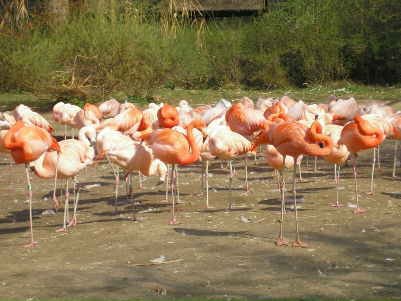 Женя Саликова | Пермь