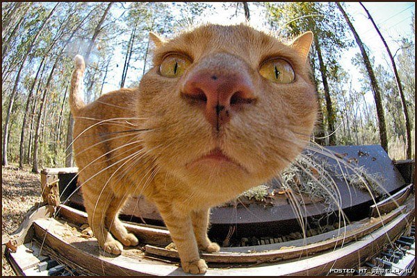 Юлька Сподаренко | 