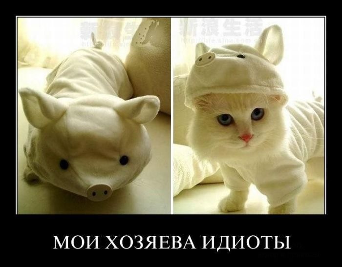 Алексей Жарков | Москва