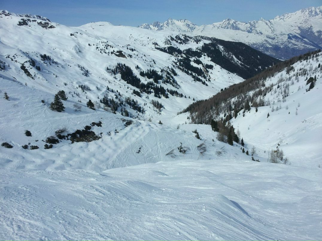 Роман Хабиби | Amsterdam