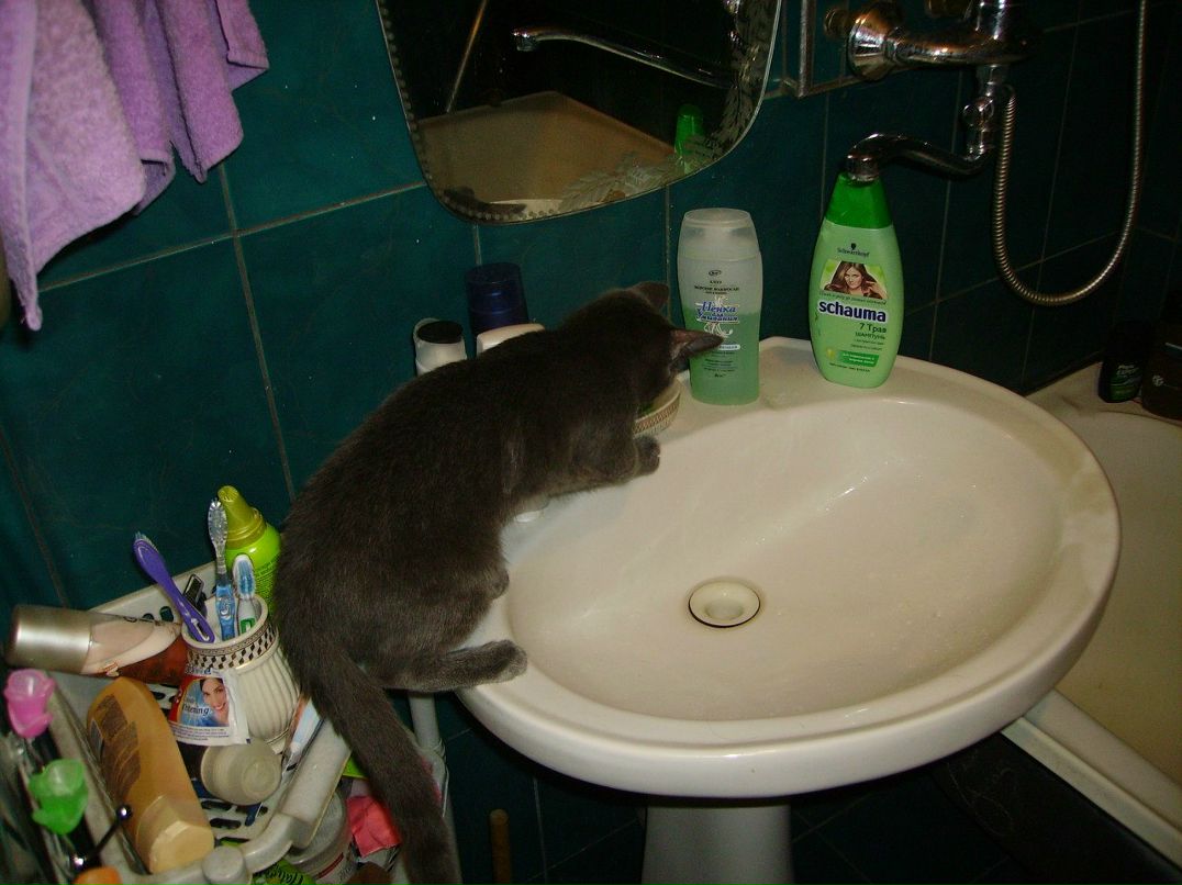 Вадим Братченко | Тюмень