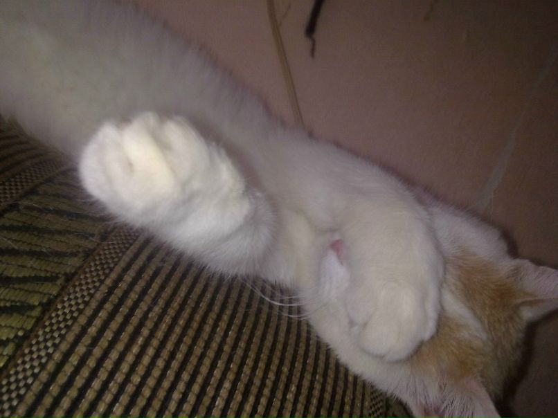 Денис Решатов | Ярославль