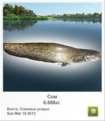 Олег Намейко | Кременчуг