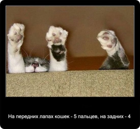 Ольга Банкова | Пенза