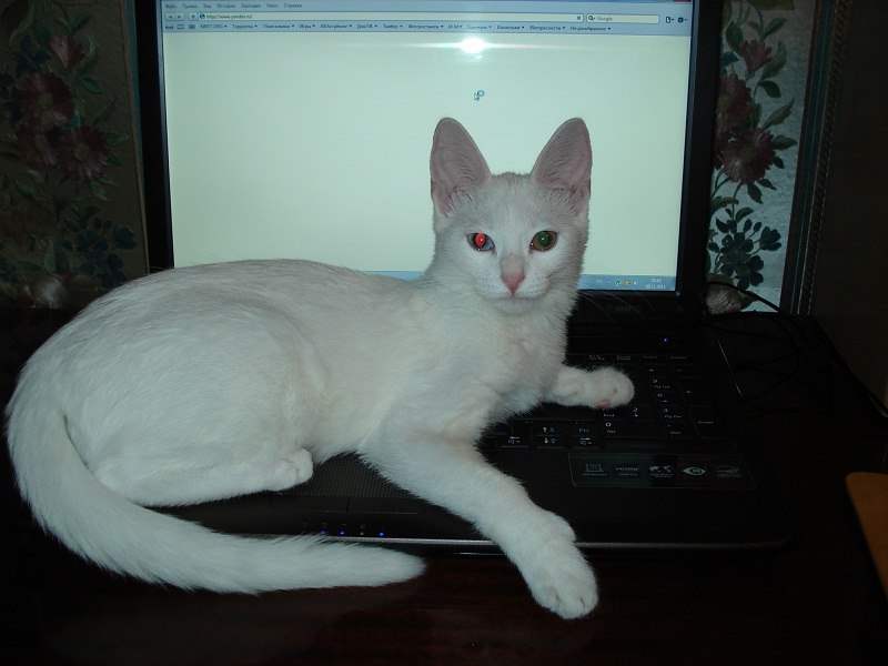 Анжела Фёклина | Дзержинск