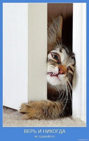 Эльвира Танаева | Санкт-Петербург