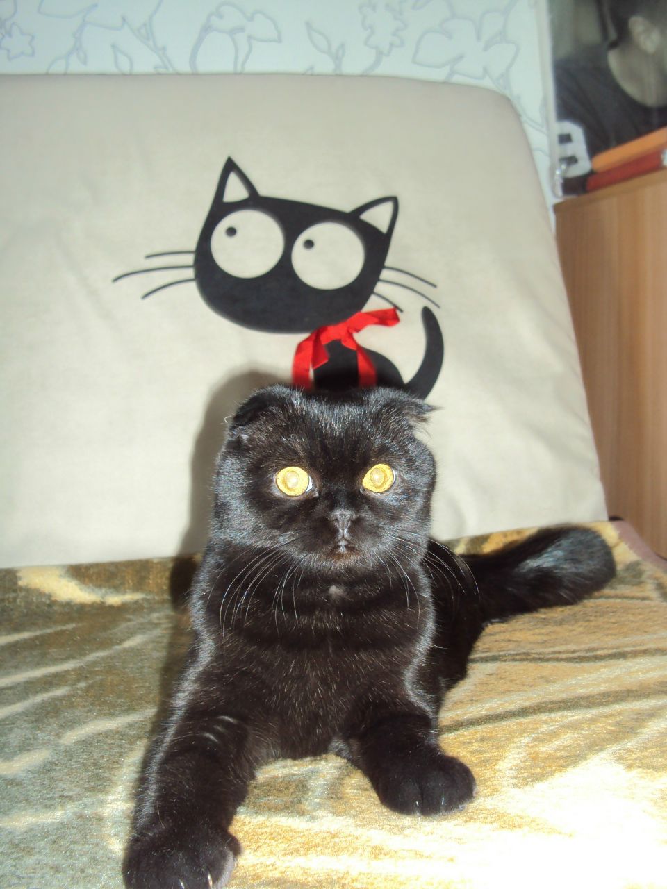 Кристина Колеева | Одесса