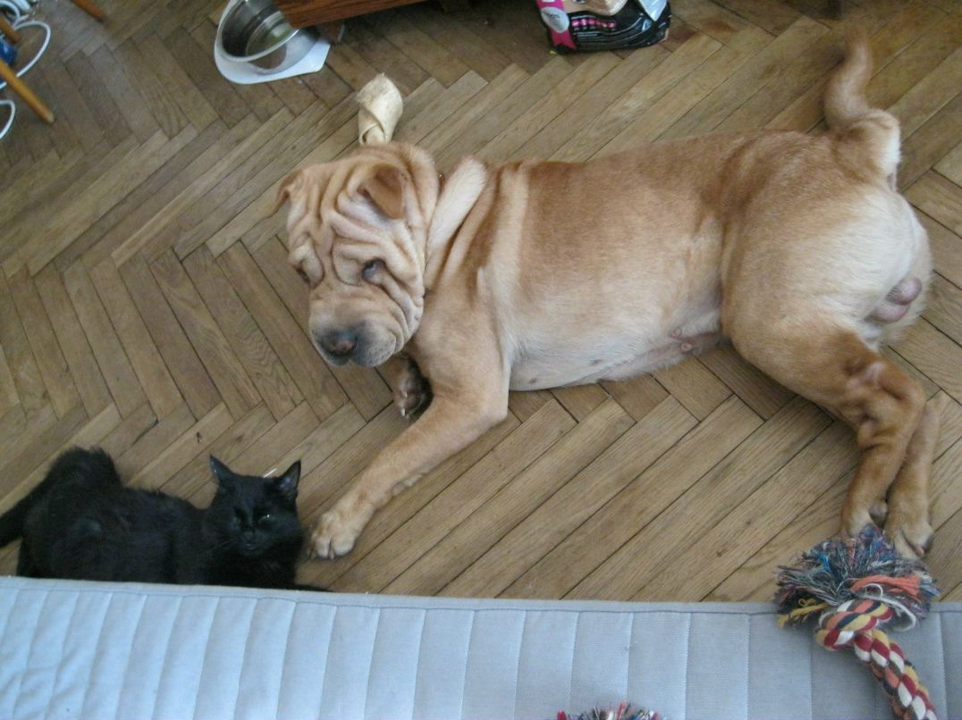 Аня Сакавичюте | Москва