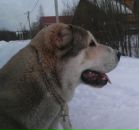 №4 Ирина Иванова 23.01.1973: профиль, фото, статус - ВКонтакте
