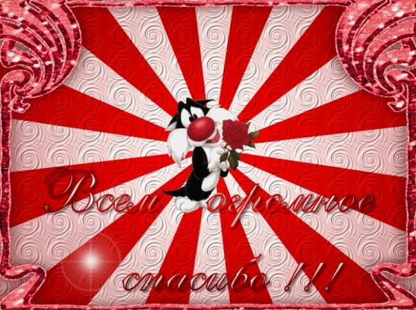 №4, Владимир Шидловский, 42 года, Минск №4, Владимир Шидловский, 42 года, Минск