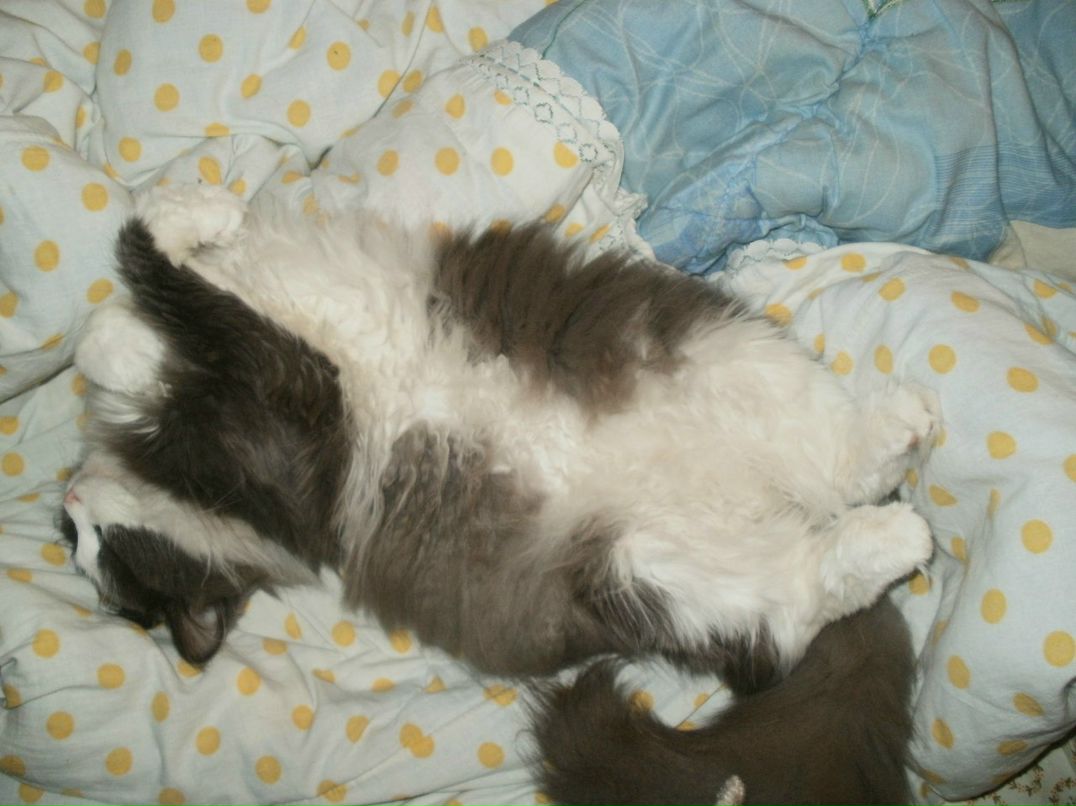 Анна Дехтярук | Санкт-Петербург